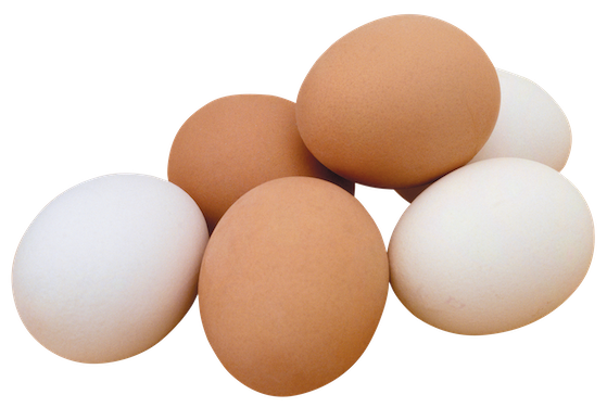 eggs.png