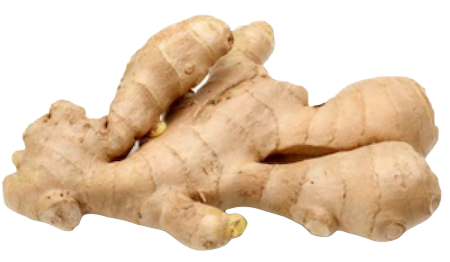 ginger.png