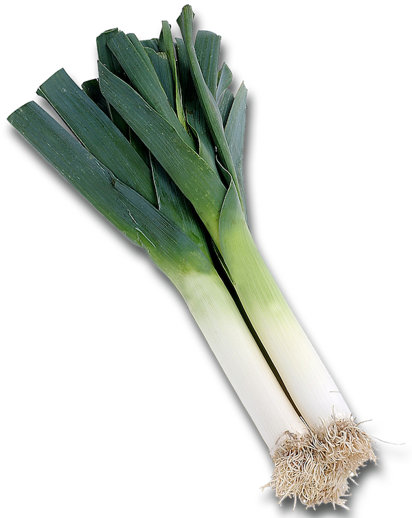 leeks.png